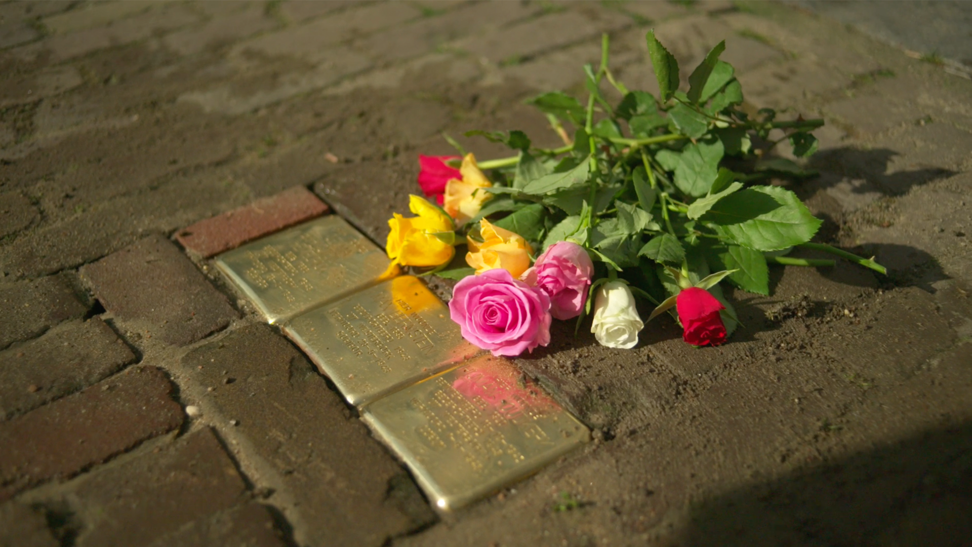 Tracks: Stumbling Stones Amsterdam